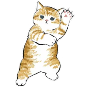 😡 gato, animal, lindo, pegatina, gatito, mascota whatsapp sticker