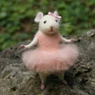 🐭 chuột, diễn viên múa ba lê, váy tutu, hồng, dễ thương, động vật, nhảy, nơ telegram sticker