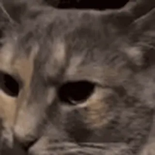 😶