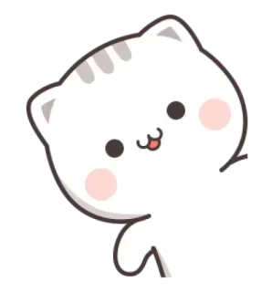 👋 gato, fofo, kawaii, animal, adesivo whatsapp sticker