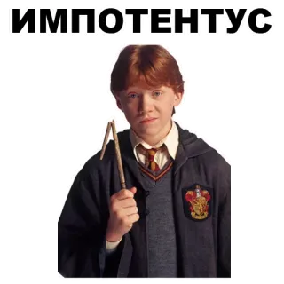 👆 Ron Weasley Harry Potter ИМПОТЕНТУС harry potter, ron weasley, sorcier, magie, sort, parodie, offensant telegram sticker