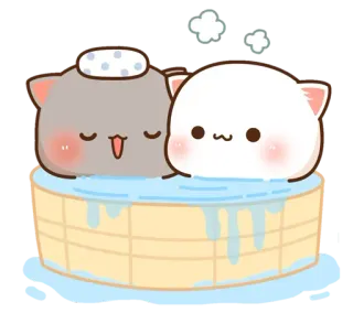 ✨ mèo, dễ thương, tắm, thư giãn, động vật telegram sticker