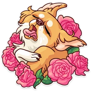 😚 perro, chihuahua, lindo, animal, rosas, flores, pegatina, mascota whatsapp sticker