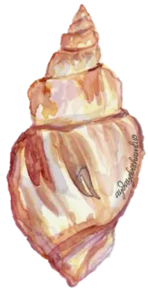 🐚 concha, aquarela, praia, oceano, mar, concha telegram sticker