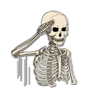 👮 scheletro, saluto, ossa, anatomia telegram sticker