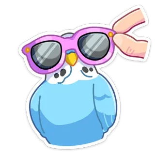 😎 pájaro, gafas de sol, periquito, lindo, animal, dibujo animado whatsapp sticker