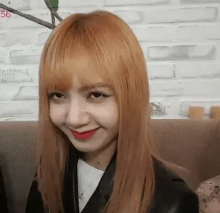 🌼 Lisa K-pop, chanteur, idole, Lisa, Blackpink, mème, expression du visage telegram sticker