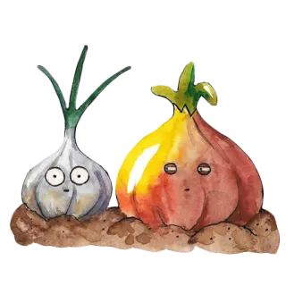 😑 Knoblauch, Zwiebel, Gemüse, Aquarell, Cartoon, Essen telegram sticker