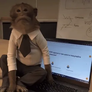 😮 P2P-сделки в три шага и покупайте с комиссией! monkey, business, laptop, trading, cryptocurrency, finance whatsapp sticker