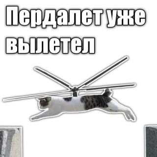 🚁 Пердалет уже вылетел cat, helicopter, funny, meme telegram sticker