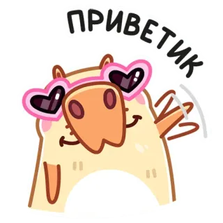 👋 ПРИВЕТИК животное, мультфильм, приветствие, солнцезащитные очки сердечки, милый, дружелюбный telegram sticker