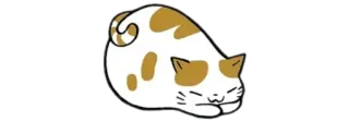 💧 cat, sleepy, cute, animal, kawaii telegram sticker