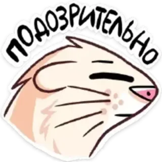 🤨 подозрительно hamster, suspicieux, animal, mignon, mème, rongeur telegram sticker