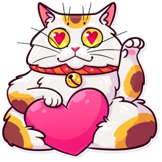 Meme Cats whatsapp stickers