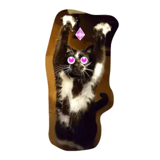 🙌 кот, эфириум, крипто, мем, животное, смешной, питомец telegram sticker