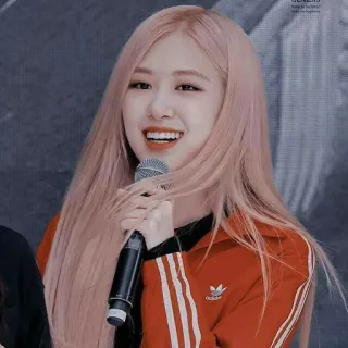 🌹 Rose Rose, Blackpink, K-pop, cantante, ídolo, mujer whatsapp sticker