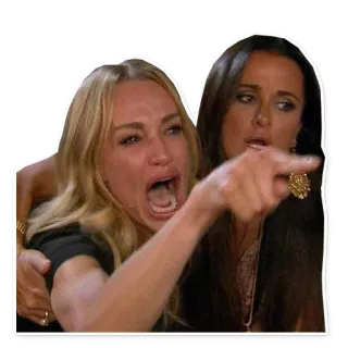 👊 women, meme, argument, cat, pointing, yelling, upset telegram sticker