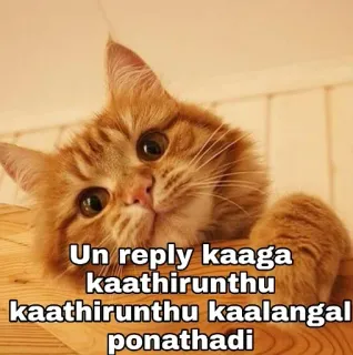 Name thonala telegram stickers