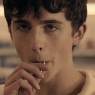 🍃 Timothée Chalamet acteur, célébrité, portrait, idole des jeunes telegram sticker
