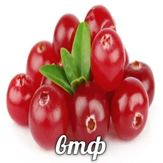 Hype Food • @TgStickery telegram stickers