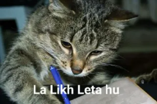 🤔 La Likh Leta hu cat, writing, pen, animal telegram sticker