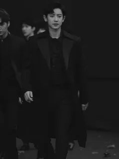 ▪️ Chanyeol Kpop, cantante, moda, blanco y negro, exo telegram sticker