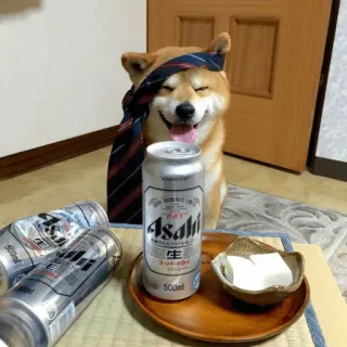 shibe telegram stickers