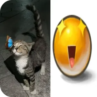 🐱 猫, 蝴蝶, 小猫, 动物, 宠物, 可爱, 表情符号 telegram sticker