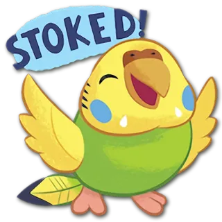 😆 STOKED! 鸟, 鹦鹉, 兴奋, 快乐, 可爱, 动物, 卡通 telegram sticker
