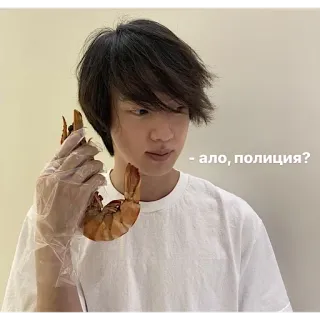 🦐 - ало, полиция? persona, camarón, llamada telefónica, policía, guantes telegram sticker