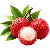 @zolotoyukus 🥬 telegram emojis 🍒