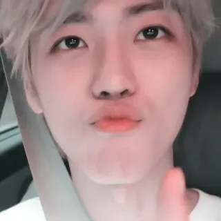 🍃 coreano, asiático, hombre, K-pop telegram sticker