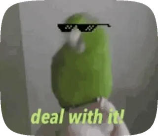 😎 deal with it! 仕方ない, オウム, サングラス, ミーム telegram sticker