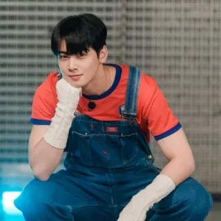 🥴 uomo, K-pop, attore, Cha Eun-woo, idol, moda telegram sticker
