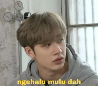 💰 ngehalu mulu dah kpop, meme, reaktion, person, indo whatsapp sticker