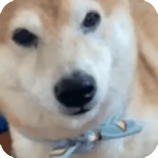 🌟