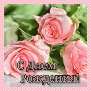 🔆 С Днем Рождения! mawar, ulang tahun, bunga, perayaan, salam, merah muda telegram sticker