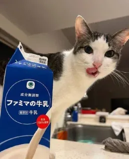 😋 成分無調整
ファミマの牛乳
種類別 牛乳
124%使用 gato, leite, animais, fofo, bebida, comida, laticínios, lambendo telegram sticker