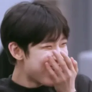 🤭 whatsapp sticker