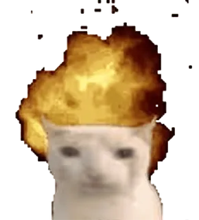 🤯 chat, feu, animal, mème whatsapp sticker