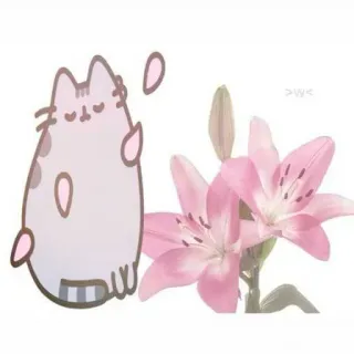 😎 Pusheen >w< telegram sticker
