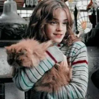 🦋 Hermione Granger Harry Potter hermiona, granger, kot, harry potter, film whatsapp sticker