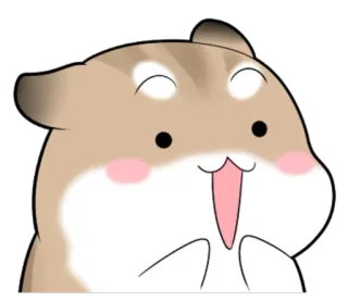 😀 hamster, schattig, dier, sticker telegram sticker