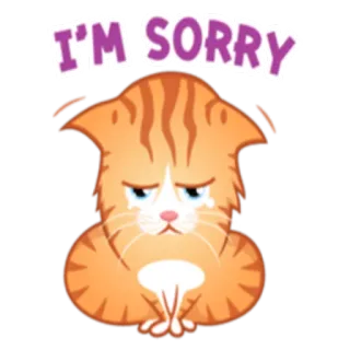 😔 I'M SORRY 고양이, 미안, 사과, 귀여운, 새끼 고양이, 슬픈, 동물, 주황색 telegram sticker