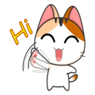 🙂 Hi gato, saudação, fofo, animal, amigável, olá telegram sticker