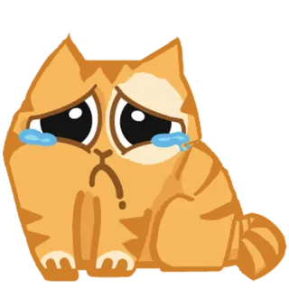 😢 cat, sad, crying, tears, kitten, orange, sticker, emoji telegram sticker