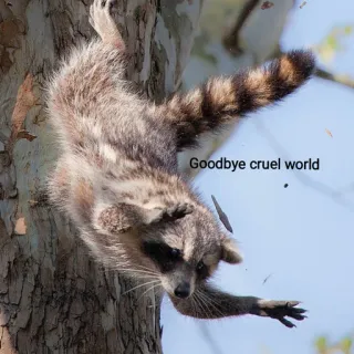 ☠ Goodbye cruel world енот, животное, дерево, прощай, жестокий мир, природа telegram sticker