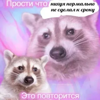 😮 Прости что нихуя нормально не сделал к сроку
Это повторится แรคคูน, ขอโทษ, ตลก, มีม, รัสเซีย, สัตว์, น่ารัก telegram sticker