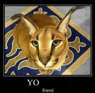🐱 YO
friend Floppa, Big Floppa, Karakal, Katze, Meme, Tier telegram sticker