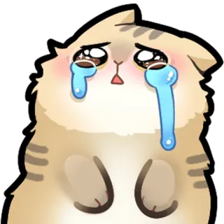 😭 cat telegram sticker